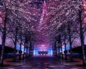 Preview wallpaper trees, ferris wheel, night, backlight