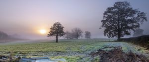 Preview wallpaper trees, field, fog, sun, nature