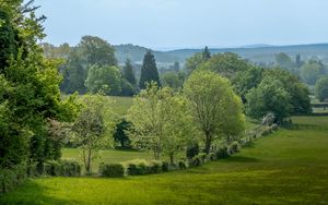 Preview wallpaper trees, field, forest, sky, nature
