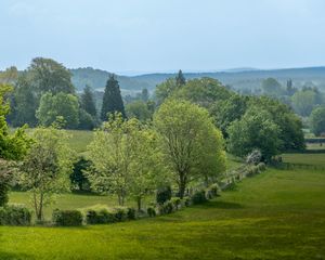 Preview wallpaper trees, field, forest, sky, nature