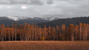 Preview wallpaper trees, field, grass, mountains, landscape