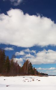 Preview wallpaper trees, field, snow, clouds, nature, winter