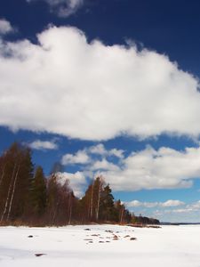 Preview wallpaper trees, field, snow, clouds, nature, winter