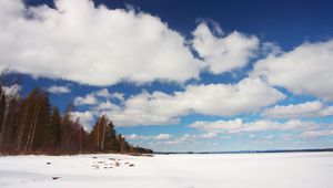 Preview wallpaper trees, field, snow, clouds, nature, winter