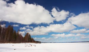 Preview wallpaper trees, field, snow, clouds, nature, winter