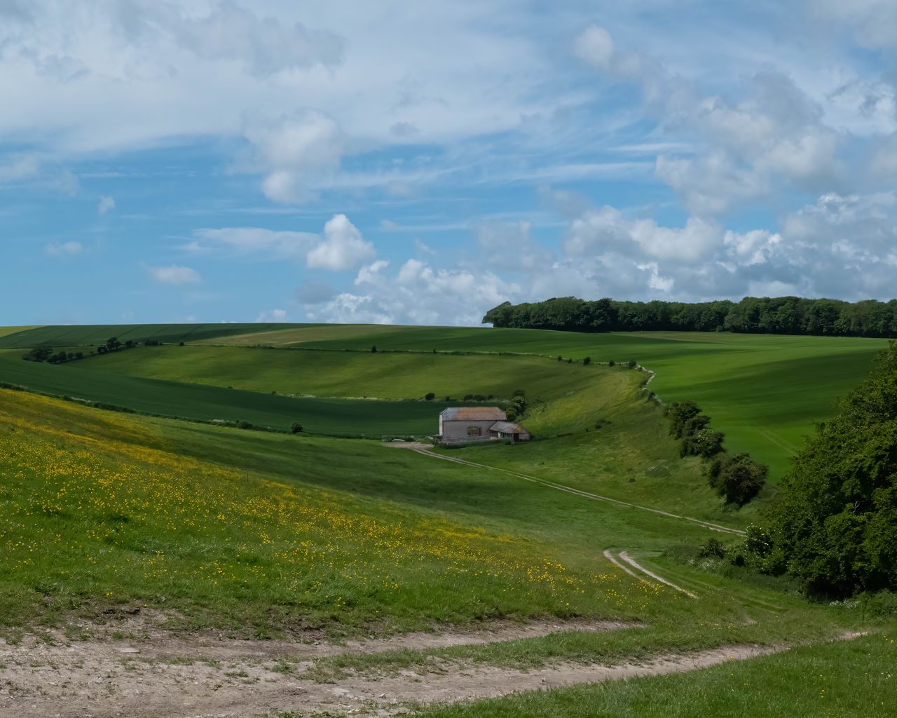 1280x1024 Wallpaper trees, fields, hills, grass, clouds