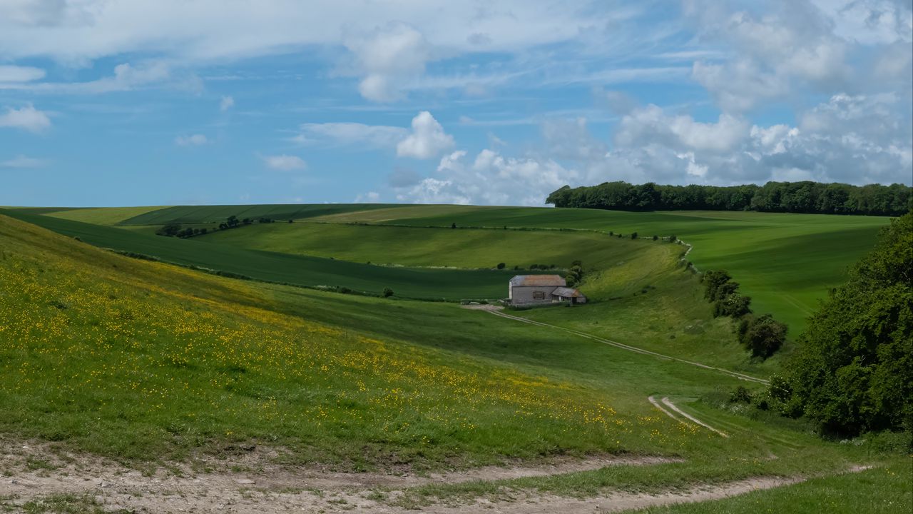 Wallpaper trees, fields, hills, grass, clouds