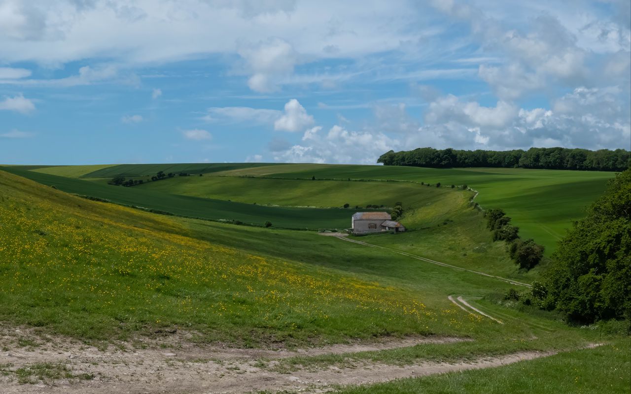 1280x800 Wallpaper trees, fields, hills, grass, clouds