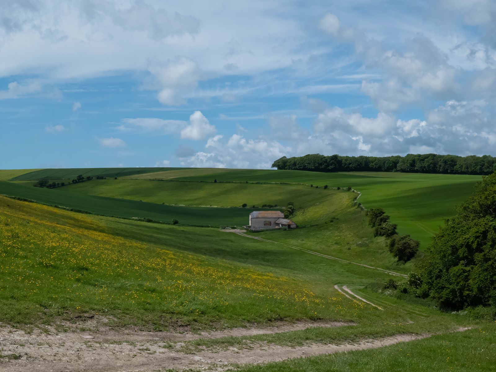 1600x1200 Wallpaper trees, fields, hills, grass, clouds