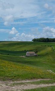 Preview wallpaper trees, fields, hills, grass, clouds