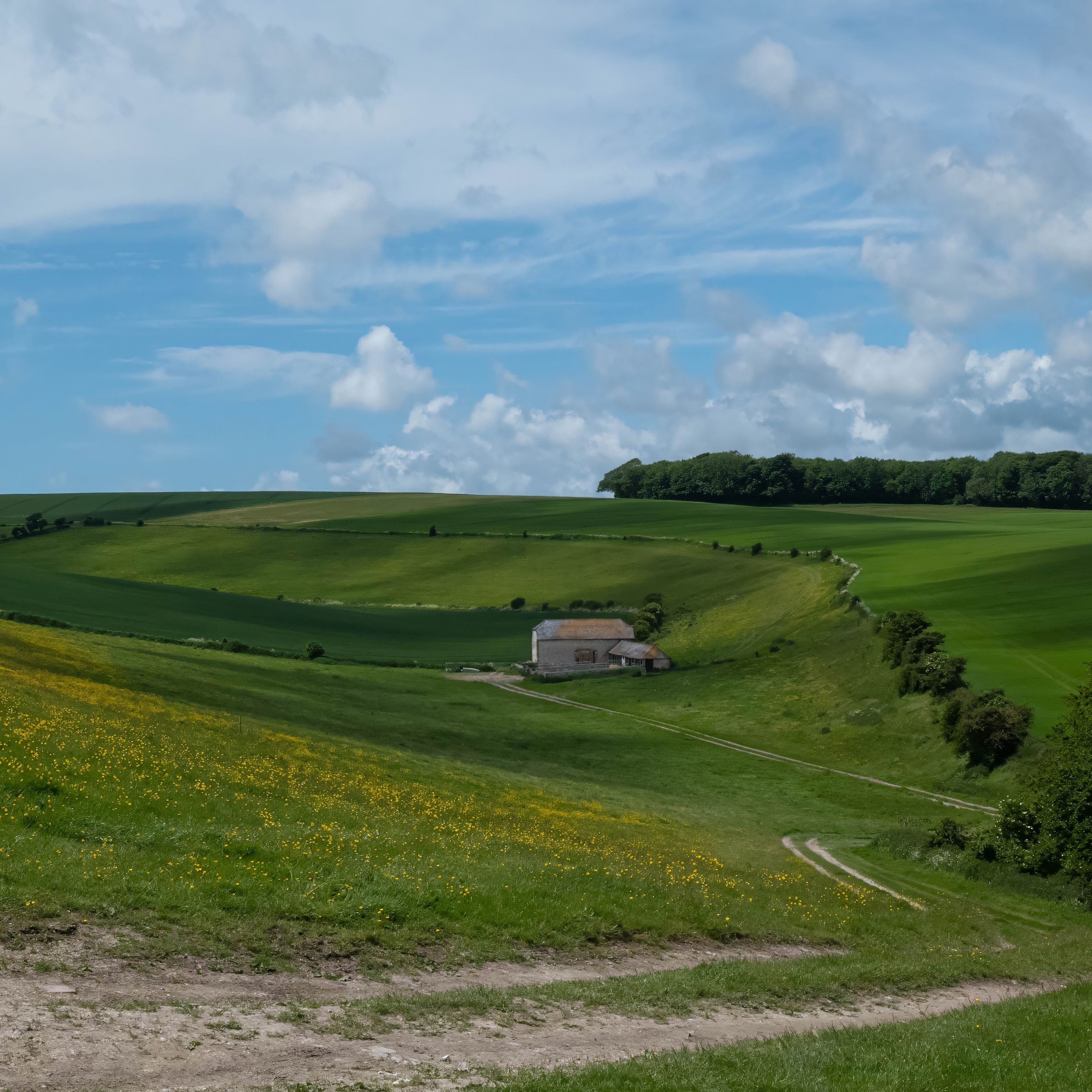 2780x2780 Wallpaper trees, fields, hills, grass, clouds