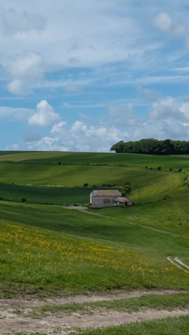800x1420 Wallpaper trees, fields, hills, grass, clouds