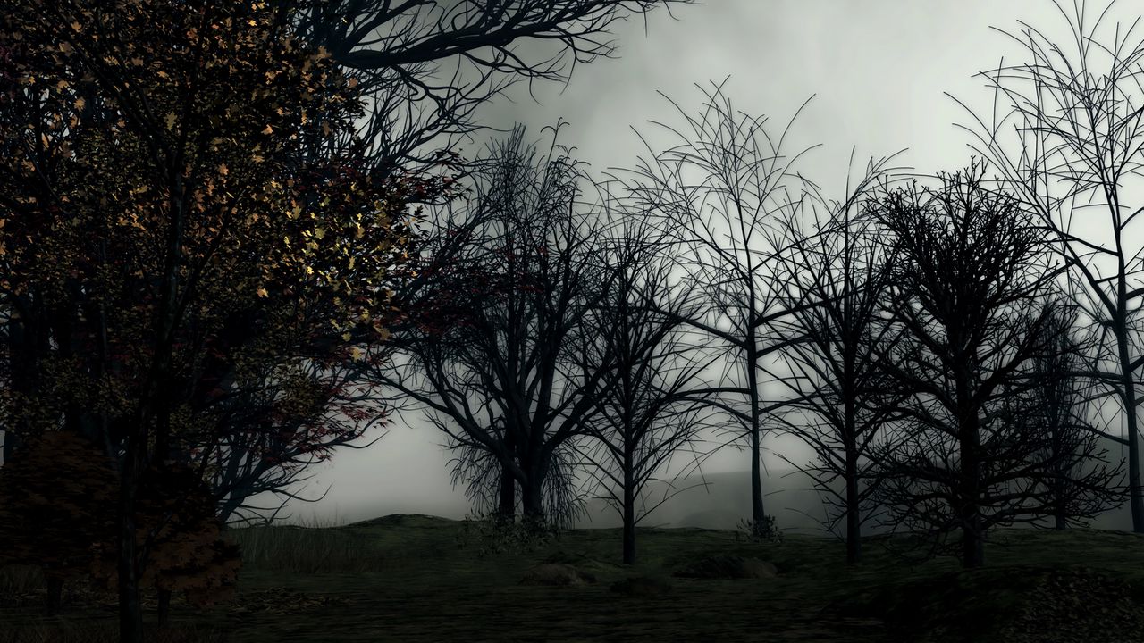 Wallpaper trees, fog, art, forest, dark