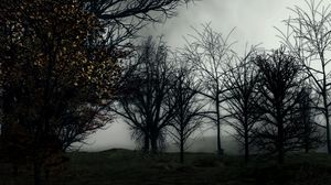 Preview wallpaper trees, fog, art, forest, dark