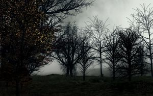 Preview wallpaper trees, fog, art, forest, dark
