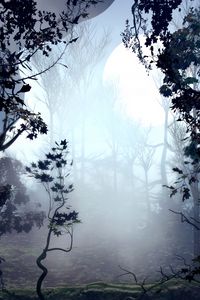 Preview wallpaper trees, fog, art, forest