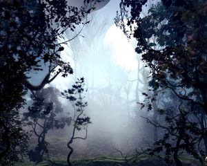 Preview wallpaper trees, fog, art, forest