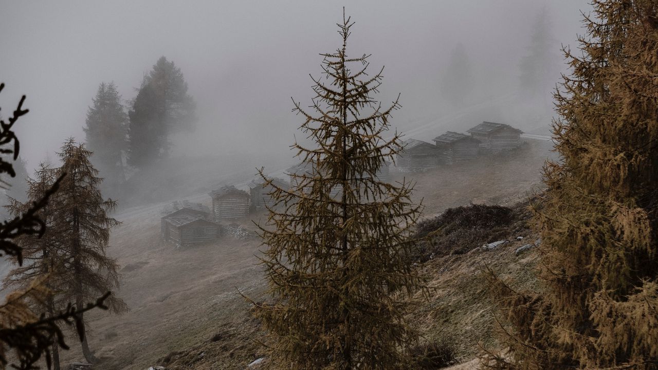 Wallpaper trees, fog, buildings, slope, landscape