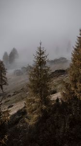 Preview wallpaper trees, fog, buildings, slope, landscape