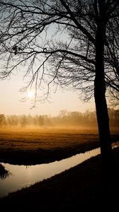 Preview wallpaper trees, fog, channel, dawn