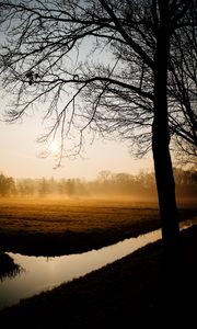 Preview wallpaper trees, fog, channel, dawn