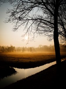 Preview wallpaper trees, fog, channel, dawn