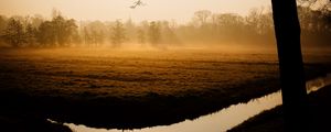 Preview wallpaper trees, fog, channel, dawn
