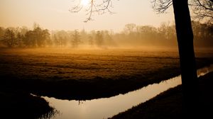 Preview wallpaper trees, fog, channel, dawn