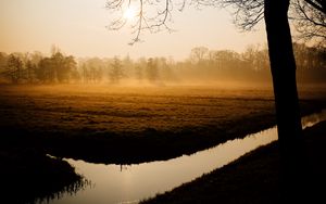 Preview wallpaper trees, fog, channel, dawn