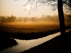 Preview wallpaper trees, fog, channel, dawn
