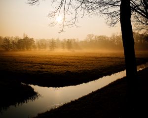Preview wallpaper trees, fog, channel, dawn