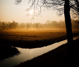 Preview wallpaper trees, fog, channel, dawn
