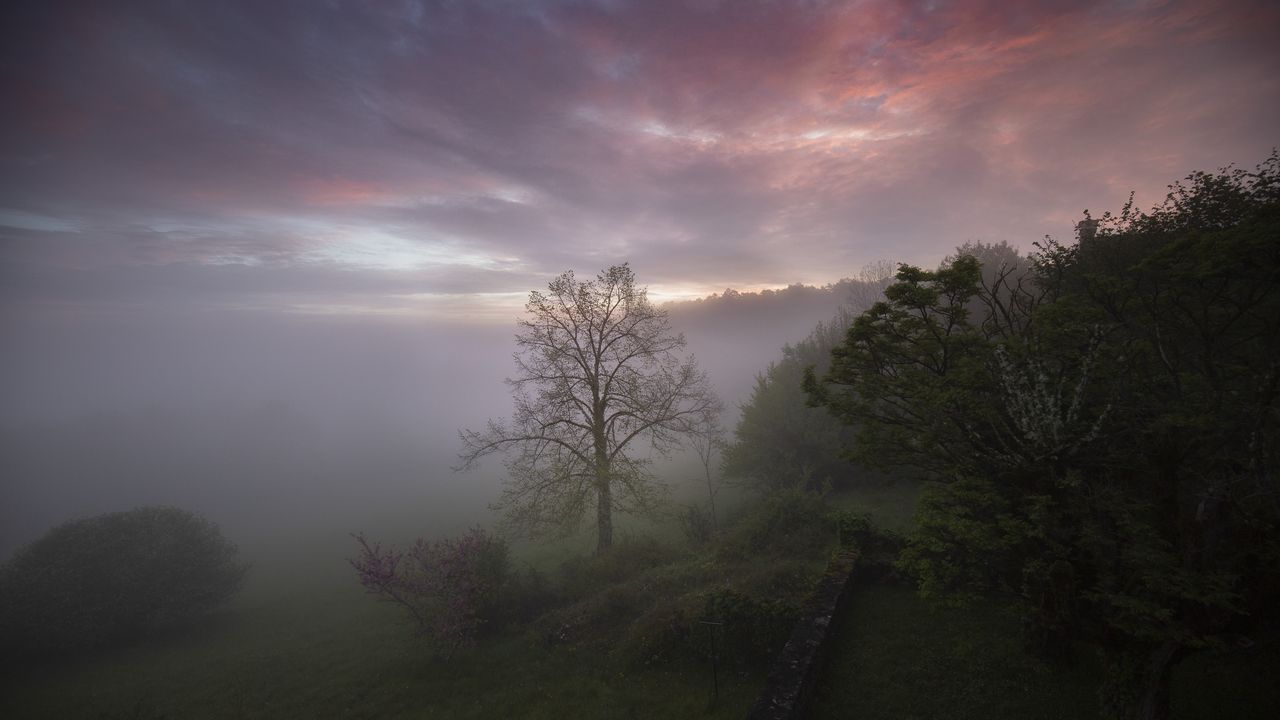 Wallpaper trees, fog, clouds, nature, landscape