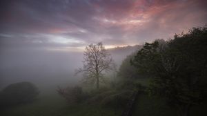 Preview wallpaper trees, fog, clouds, nature, landscape