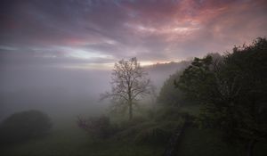 Preview wallpaper trees, fog, clouds, nature, landscape