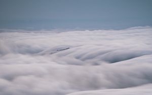 Preview wallpaper trees, fog, clouds, distance