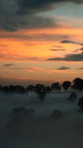 Preview wallpaper trees, fog, clouds, sunset, nature, dark