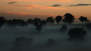 Preview wallpaper trees, fog, clouds, sunset, nature, dark