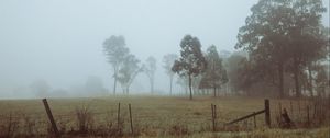 Preview wallpaper trees, fog, field, dawn, grass