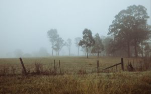 Preview wallpaper trees, fog, field, dawn, grass