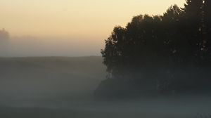 Preview wallpaper trees, fog, field, dawn