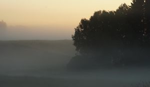 Preview wallpaper trees, fog, field, dawn