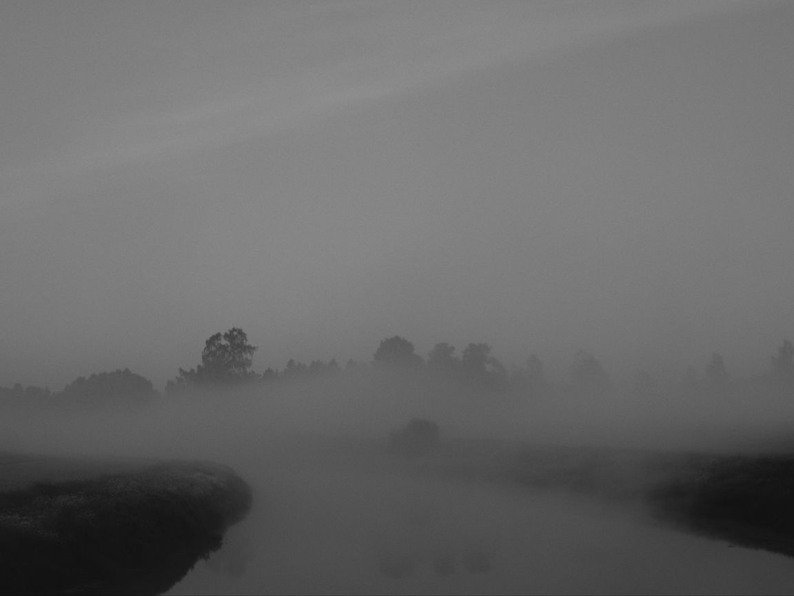 1152x864 Wallpaper trees, fog, heavy, dark, nature
