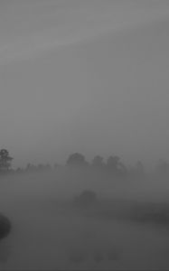 Preview wallpaper trees, fog, heavy, dark, nature