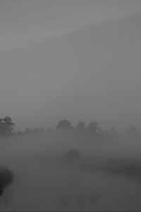 Preview wallpaper trees, fog, heavy, dark, nature