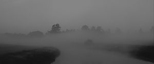 Preview wallpaper trees, fog, heavy, dark, nature