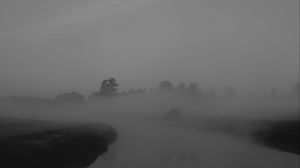 Preview wallpaper trees, fog, heavy, dark, nature