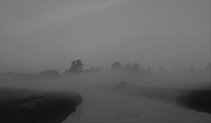 Preview wallpaper trees, fog, heavy, dark, nature