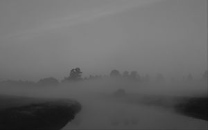Preview wallpaper trees, fog, heavy, dark, nature