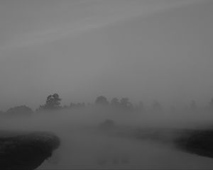 Preview wallpaper trees, fog, heavy, dark, nature